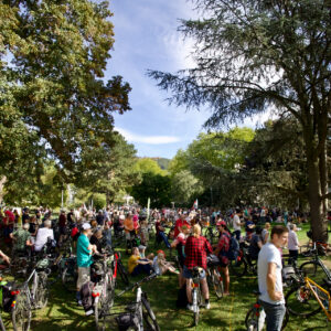 Fridays For Future HD